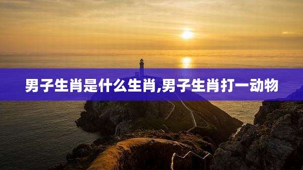 男子生肖是什么生肖,男子生肖打一动物