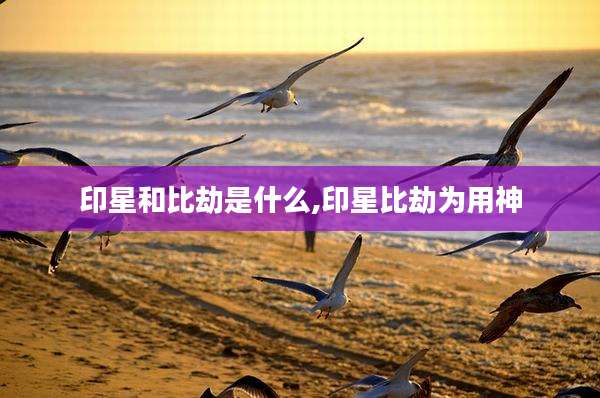 印星和比劫是什么,印星比劫为用神