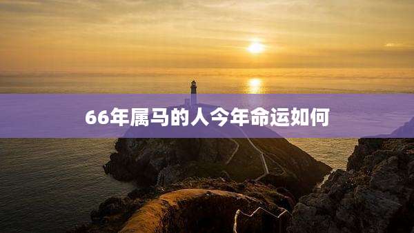 66年属马的人今年命运如何