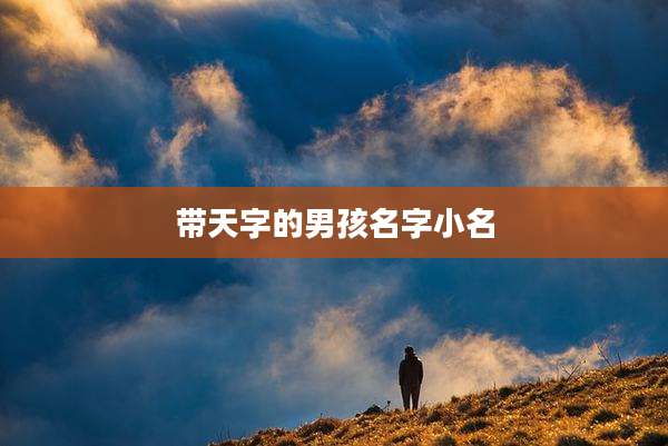 带天字的男孩名字小名