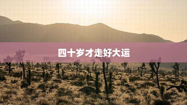 四十岁才走好大运