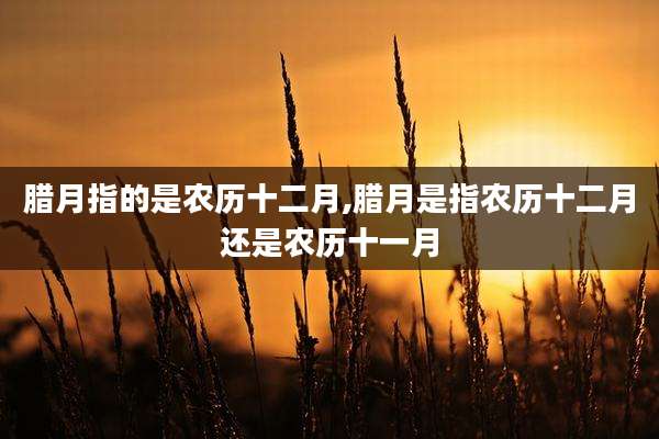 腊月指的是农历十二月,腊月是指农历十二月还是农历十一月