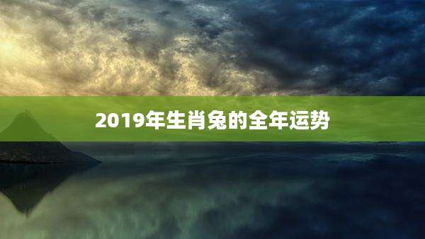 2019年生肖兔的全年运势