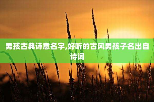 男孩古典诗意名字,好听的古风男孩子名出自诗词