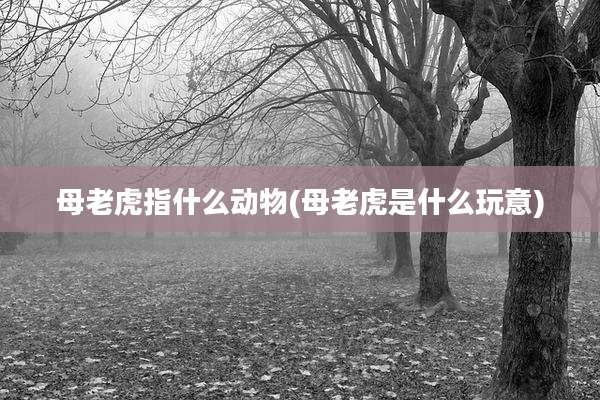 母老虎指什么动物(母老虎是什么玩意)
