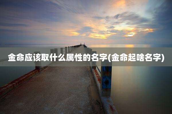 金命应该取什么属性的名字(金命起啥名字)