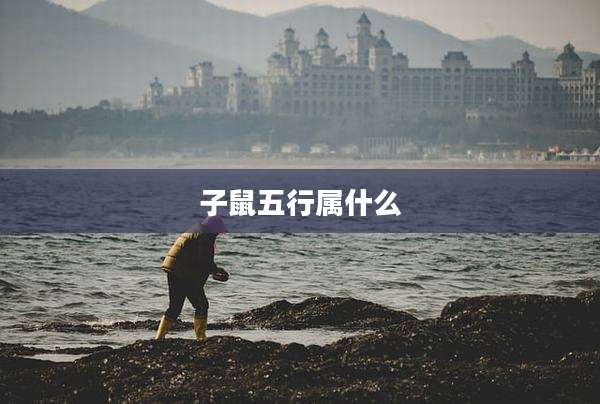 子鼠五行属什么