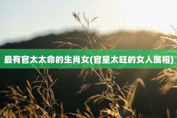 最有官太太命的生肖女(官星太旺的女人属相)
