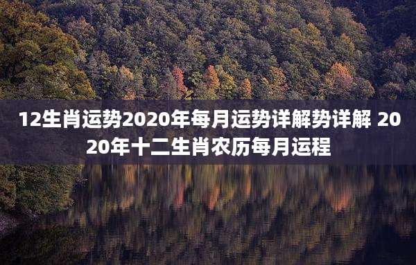 12生肖运势2020年每月运势详解势详解 2020年十二生肖农历每月运程