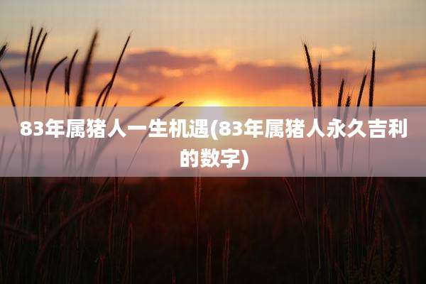 83年属猪人一生机遇(83年属猪人永久吉利的数字)