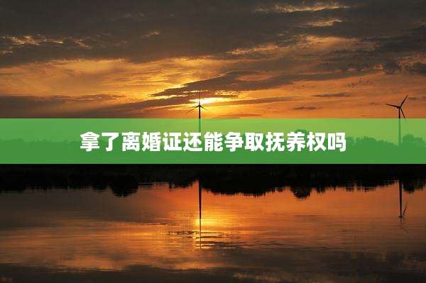 拿了离婚证还能争取抚养权吗