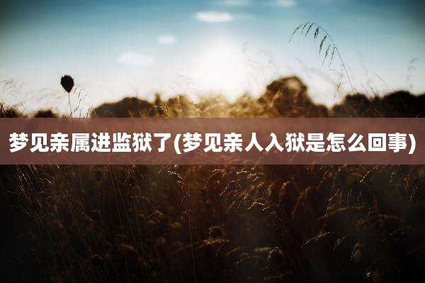 梦见亲属进监狱了(梦见亲人入狱是怎么回事)