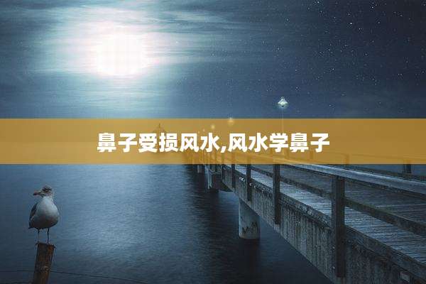 鼻子受损风水,风水学鼻子
