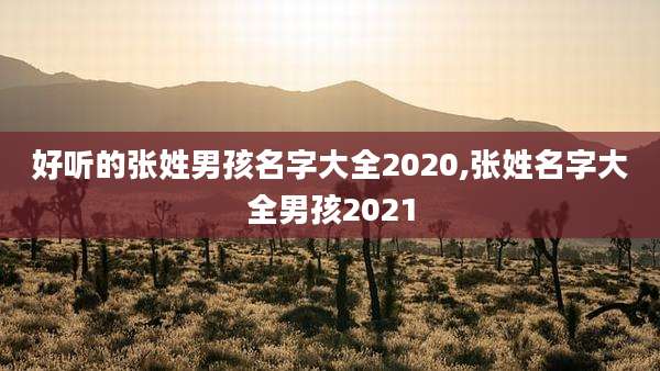 好听的张姓男孩名字大全2020,张姓名字大全男孩2021