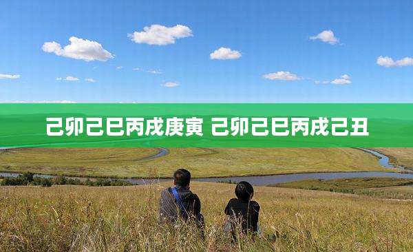 己卯己巳丙戌庚寅 己卯己巳丙戌己丑