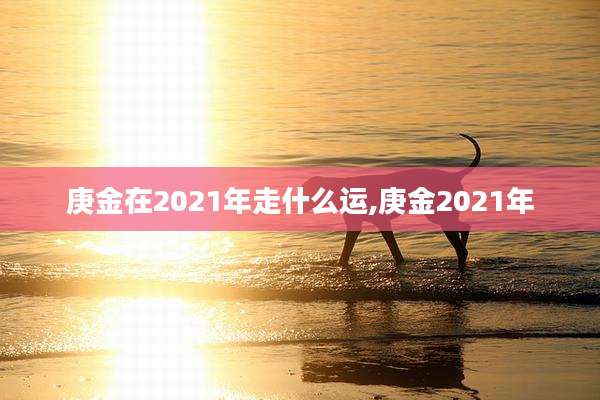 庚金在2021年走什么运,庚金2021年
