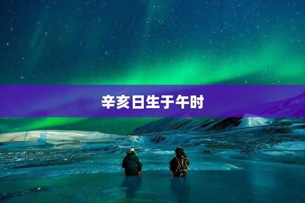 辛亥日生于午时