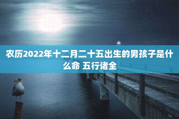 农历2022年十二月二十五出生的男孩子是什么命 五行诸全