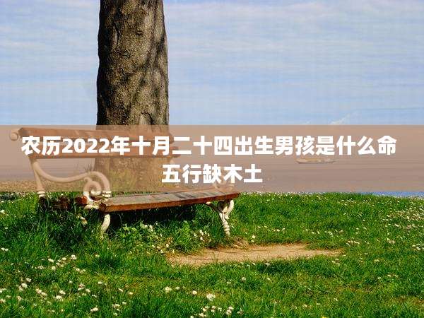 农历2022年十月二十四出生男孩是什么命 五行缺木土