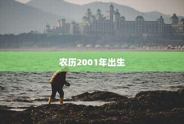 农历2001年出生