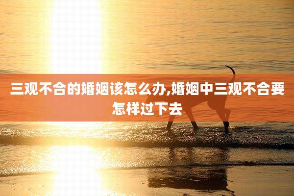 三观不合的婚姻该怎么办,婚姻中三观不合要怎样过下去