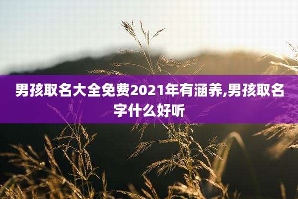 男孩取名大全免费2021年有涵养,男孩取名字什么好听