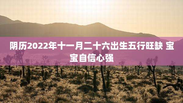 阴历2022年十一月二十六出生五行旺缺 宝宝自信心强