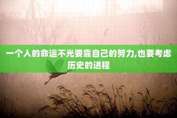 一个人的命运不光要靠自己的努力,也要考虑历史的进程