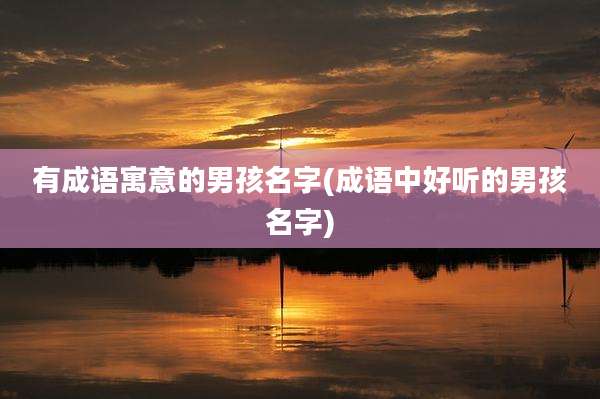 有成语寓意的男孩名字(成语中好听的男孩名字)