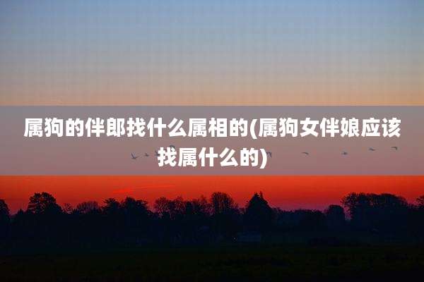 属狗的伴郎找什么属相的(属狗女伴娘应该找属什么的)