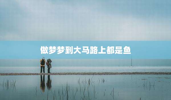 做梦梦到大马路上都是鱼