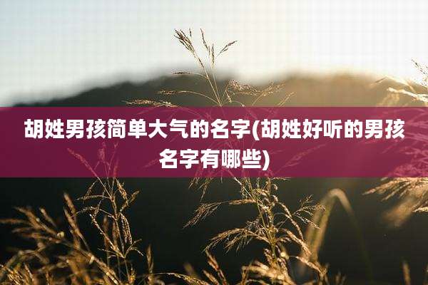胡姓男孩简单大气的名字(胡姓好听的男孩名字有哪些)