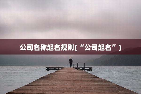 公司名称起名规则(“公司起名”)