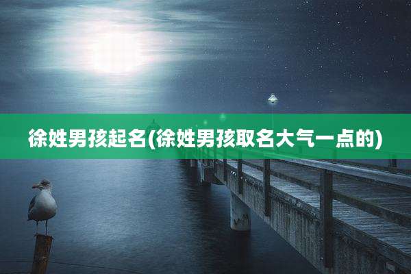 徐姓男孩起名(徐姓男孩取名大气一点的)
