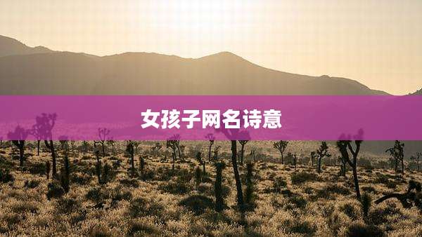 女孩子网名诗意