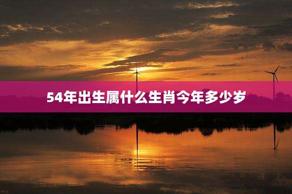 54年出生属什么生肖今年多少岁