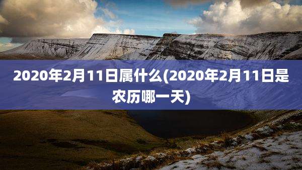 2020年2月11日属什么(2020年2月11日是农历哪一天)