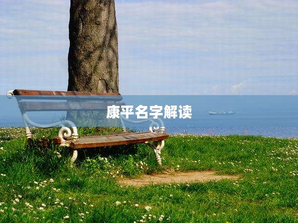 康平名字解读