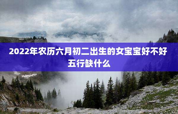 2022年农历六月初二出生的女宝宝好不好 五行缺什么