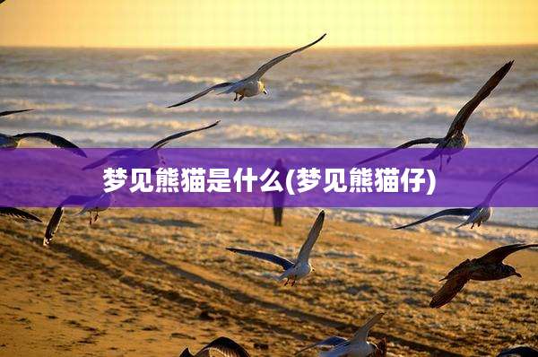 梦见熊猫是什么(梦见熊猫仔)