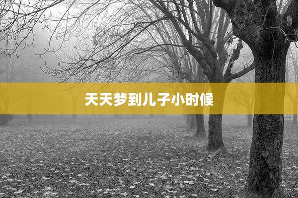 天天梦到儿子小时候