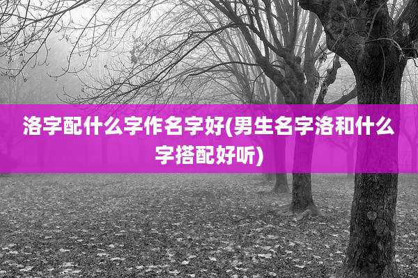 洛字配什么字作名字好(男生名字洛和什么字搭配好听)