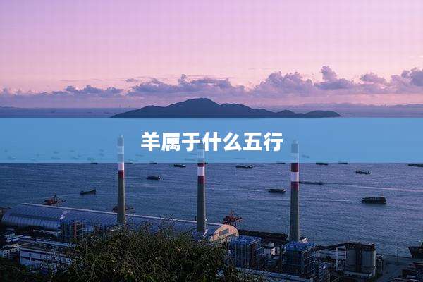 羊属于什么五行