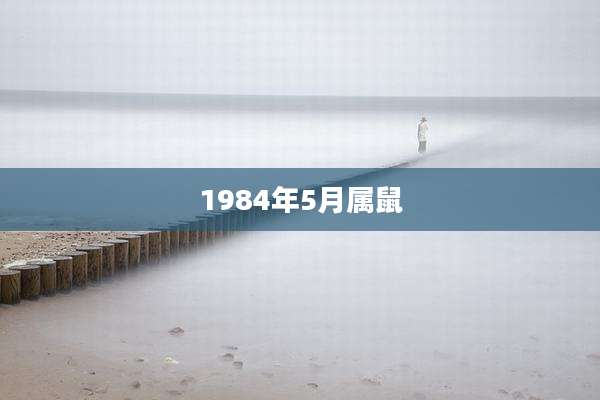 1984年5月属鼠