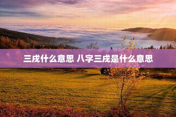 三戌什么意思 八字三戌是什么意思