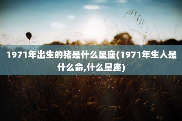 1971年出生的猪是什么星座(1971年生人是什么命,什么星座)