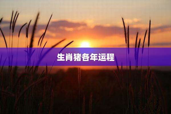 生肖猪各年运程