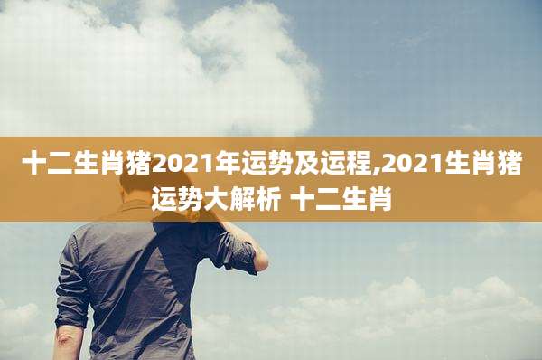 十二生肖猪2021年运势及运程,2021生肖猪运势大解析 十二生肖
