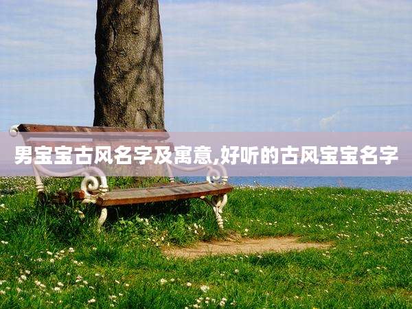 男宝宝古风名字及寓意,好听的古风宝宝名字