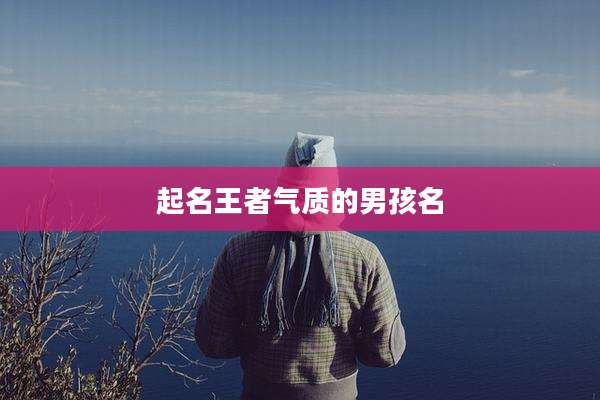 起名王者气质的男孩名